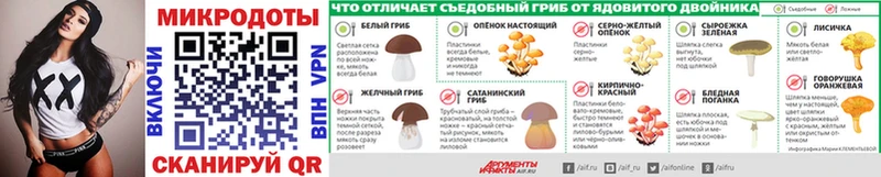 Псилоцибиновые грибы прущие грибы  Дубна 