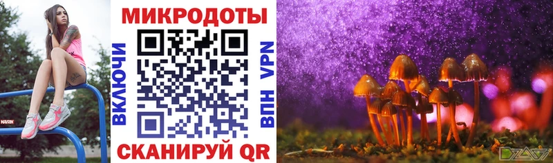 Псилоцибиновые грибы прущие грибы Дубна