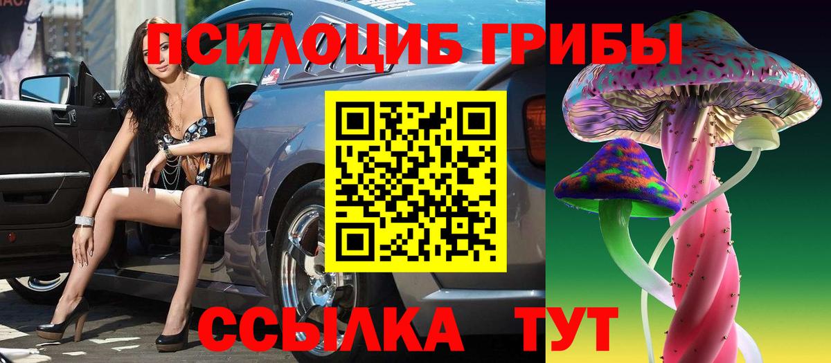 Псилоцибиновые грибы прущие грибы  Дубна  Галлюциногенные грибы GOLDEN TEACHER 