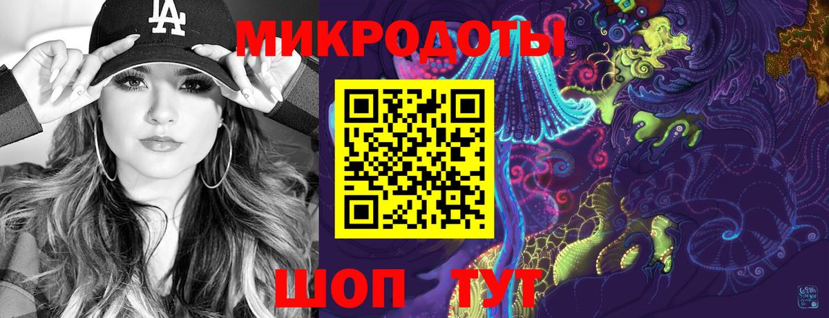 APVP Дубна